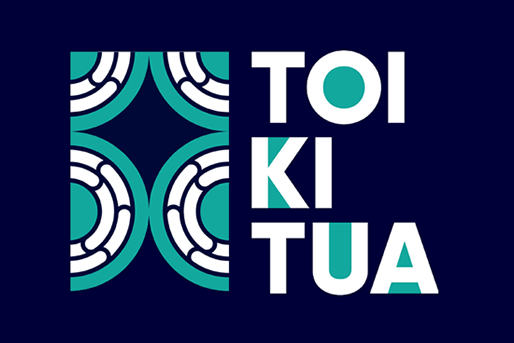 Māori Professional Internship Programme